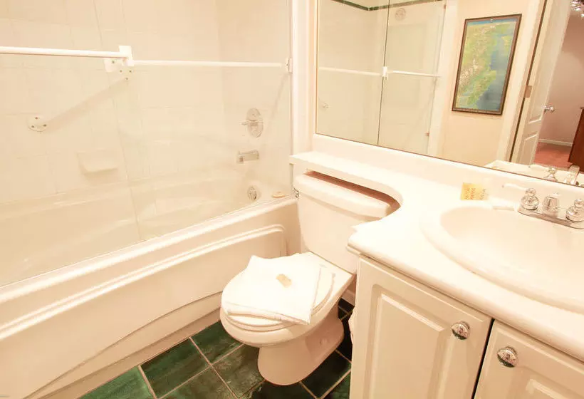 Отель Town Plaza Suites By Golden Dreams