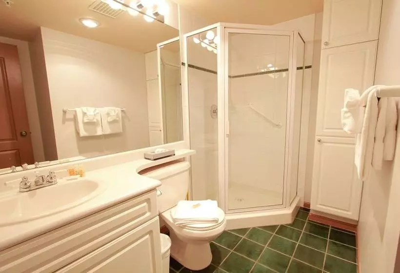 Отель Town Plaza Suites By Golden Dreams