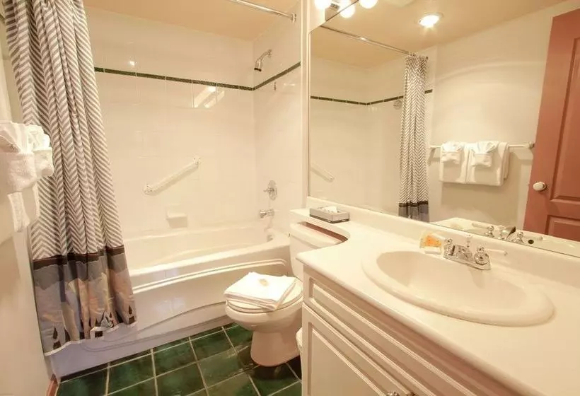 Отель Town Plaza Suites By Golden Dreams