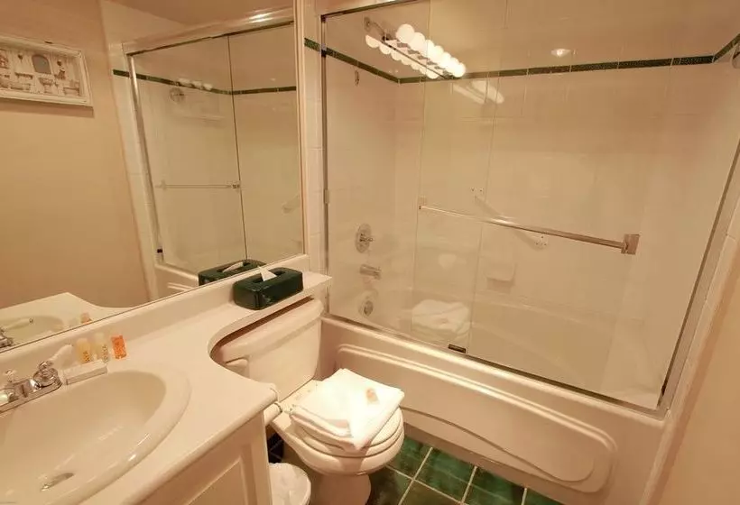 Отель Town Plaza Suites By Golden Dreams