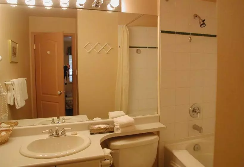 Отель Town Plaza Suites By Golden Dreams