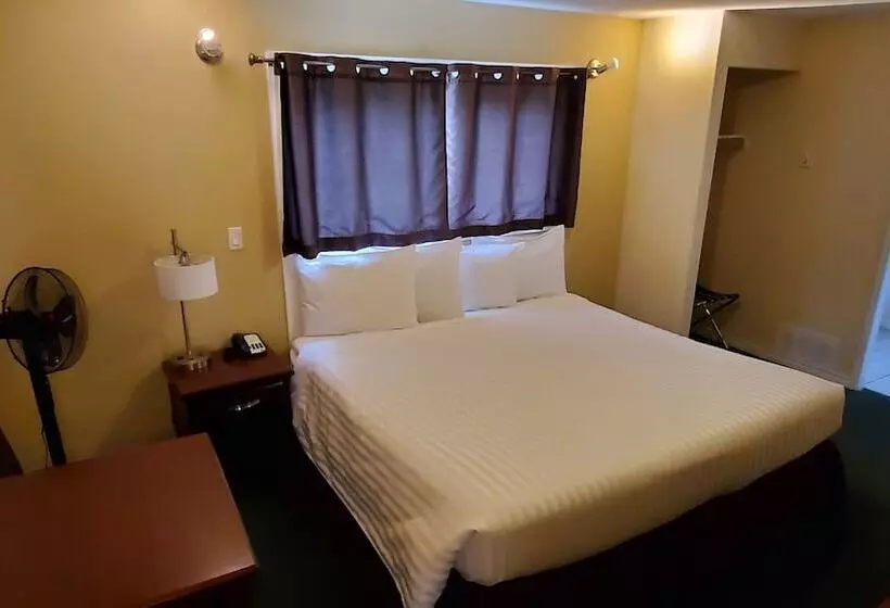 ホテル Comox Valley Inn & Suites