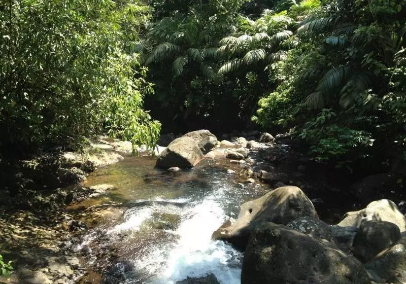 酒店 El Tucano & Spa