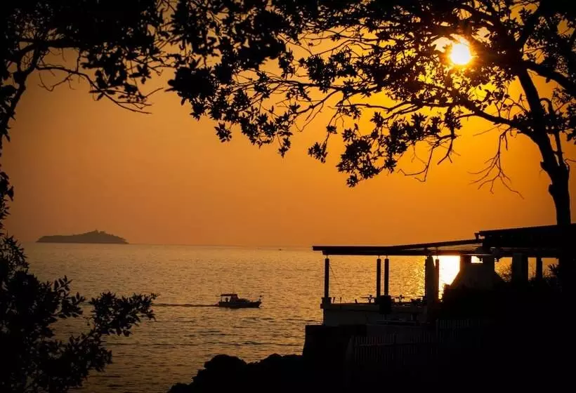 Szálloda Royal Neptun