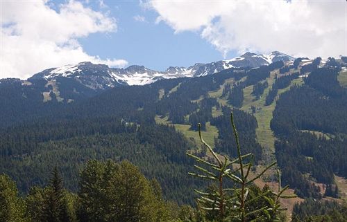 هتل Tyndall Stone Lodge By Whiski Jack