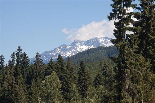 هتل Tyndall Stone Lodge By Whiski Jack