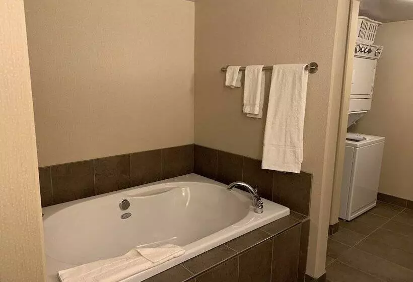 فندق Woodlands Inn & Suites