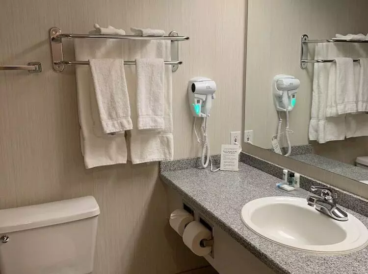 فندق Woodlands Inn & Suites