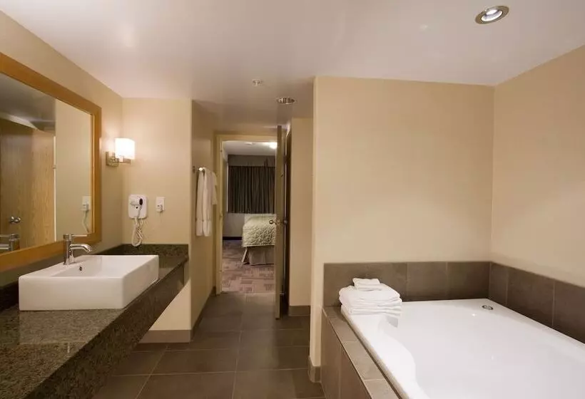 فندق Woodlands Inn & Suites