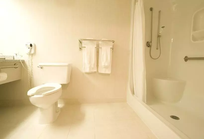 فندق Woodlands Inn & Suites