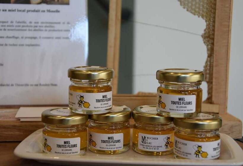 هتل Mercure Thionville Centre Porte Du Luxembourg