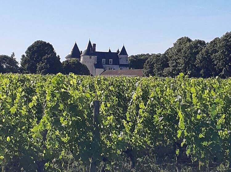 هتل Château De Marçay