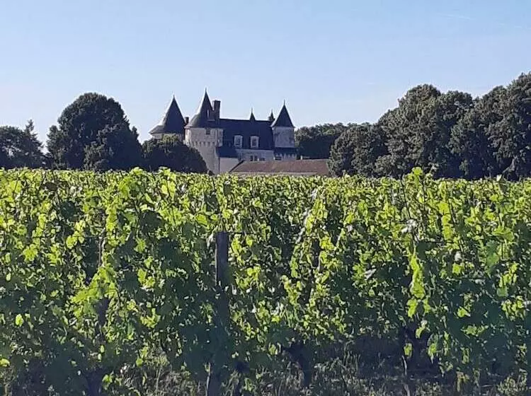 בית מלון כפרי Château De Marçay