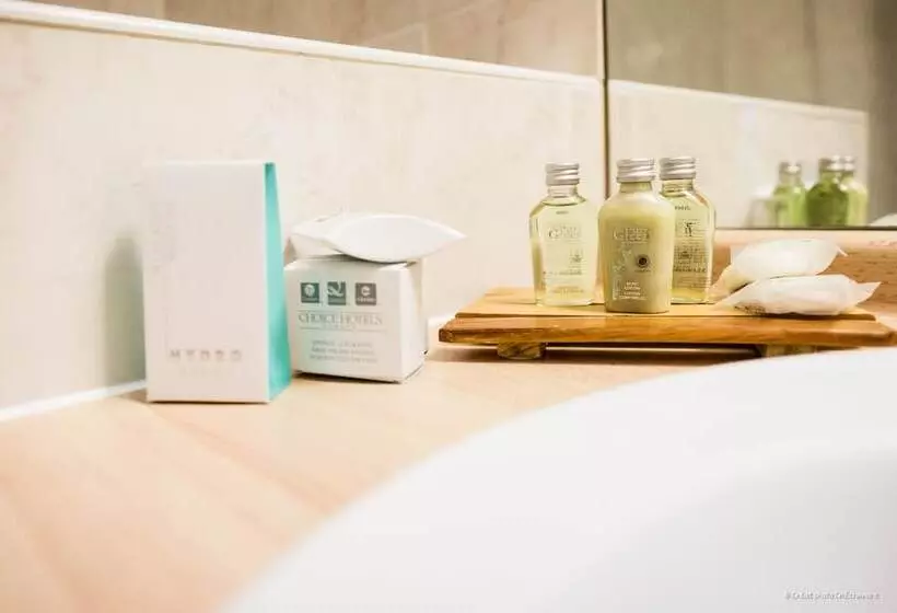 Quality Hotel Pau Centre Bosquet