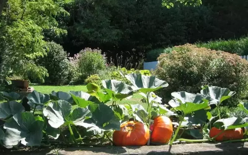 酒店 Chateau La Cheneviere