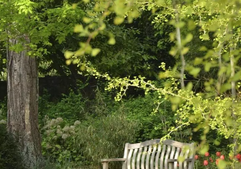 酒店 Chateau La Cheneviere