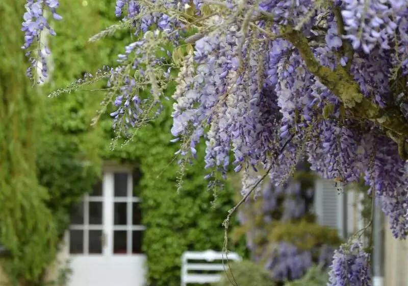 酒店 Chateau La Cheneviere