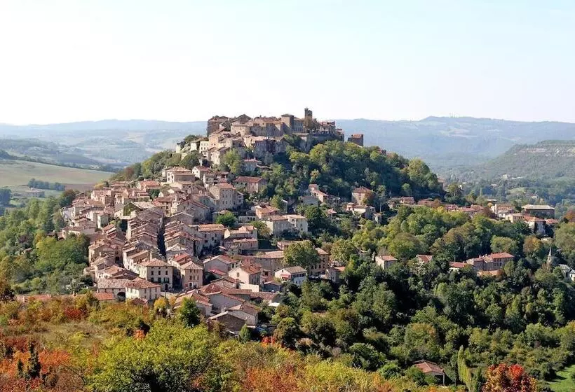 Отель Hôtel Du Vigan