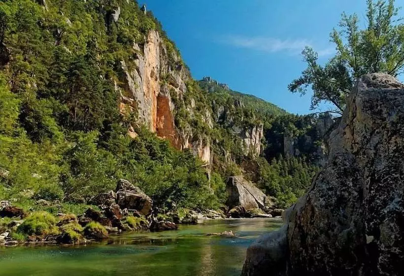 Отель Hôtel Du Vigan