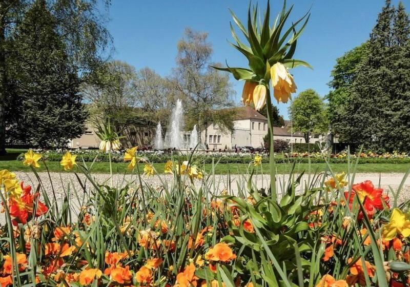 هتل Ibis Nuitssaintgeorges