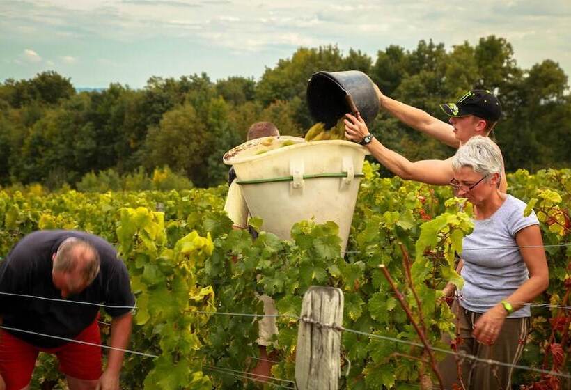 فندق Logis Hôtel De Bourgogne   Mâcon