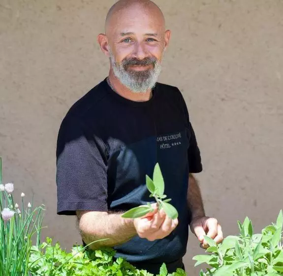 乡村酒店 Mas De L Oulivie