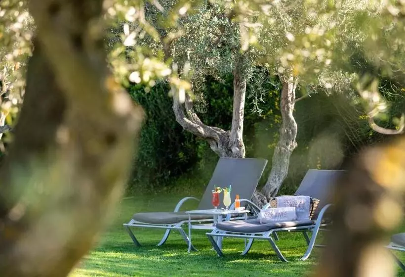 乡村酒店 Mas De L Oulivie