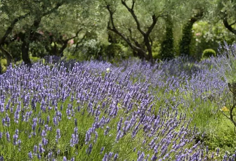 乡村酒店 Mas De L Oulivie