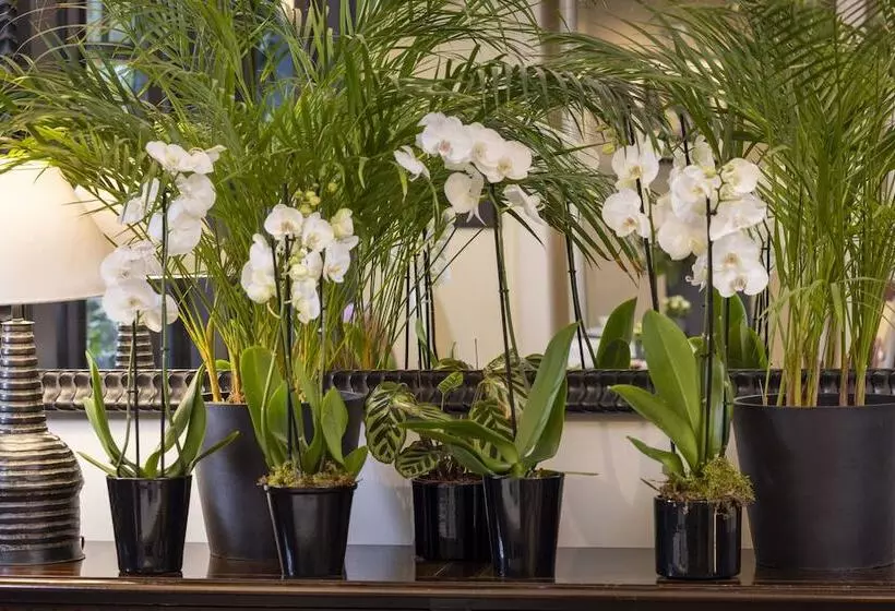 ホテル La Villa Madame