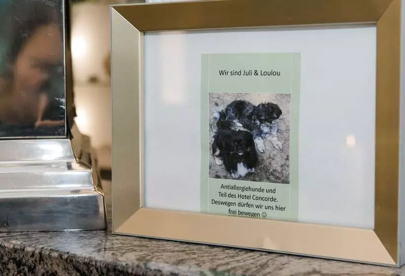 ホテル Concorde Business Boutique