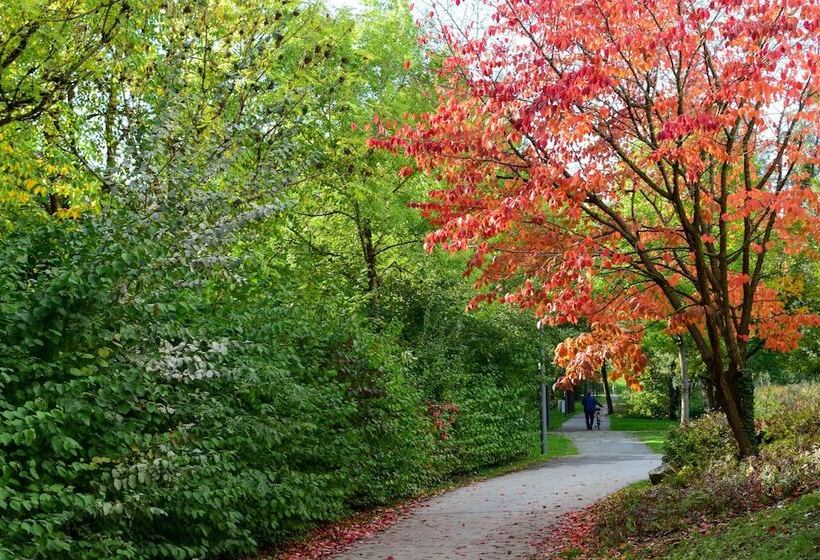 Scotty & Paul Hotel Deggendorf