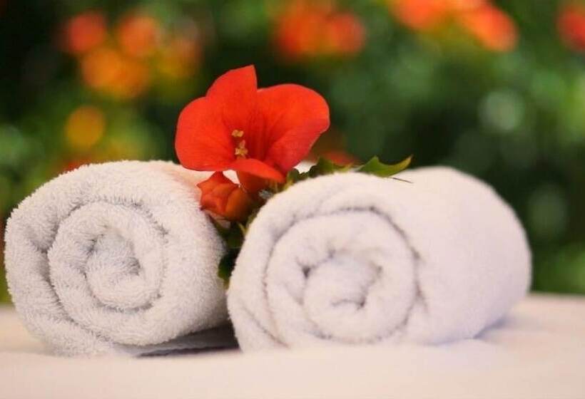 Dionysos Luxury Hotel Mykonos