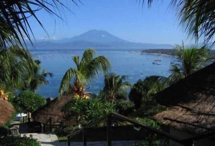 فندق Coconuts Beach Resort