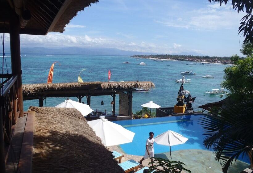 فندق Coconuts Beach Resort