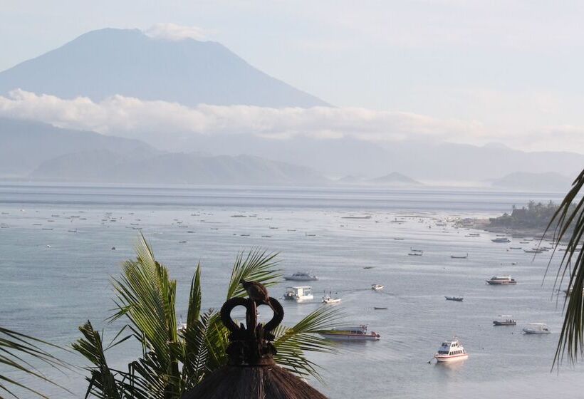 فندق Coconuts Beach Resort