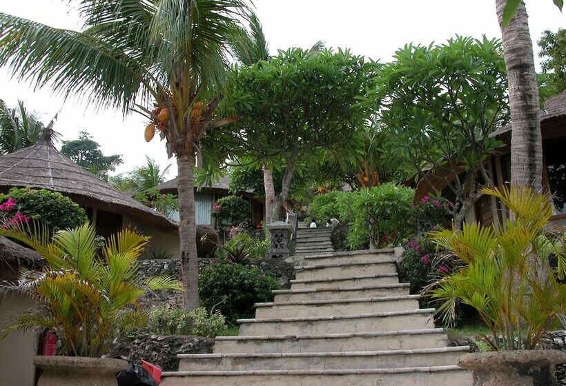 فندق Coconuts Beach Resort