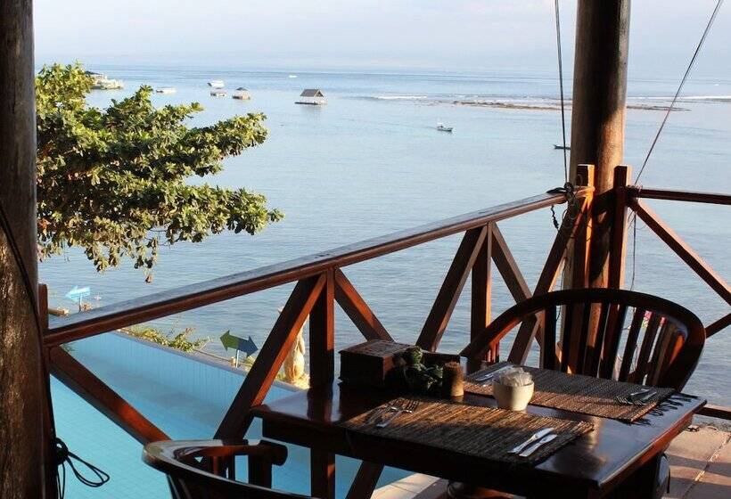 فندق Coconuts Beach Resort