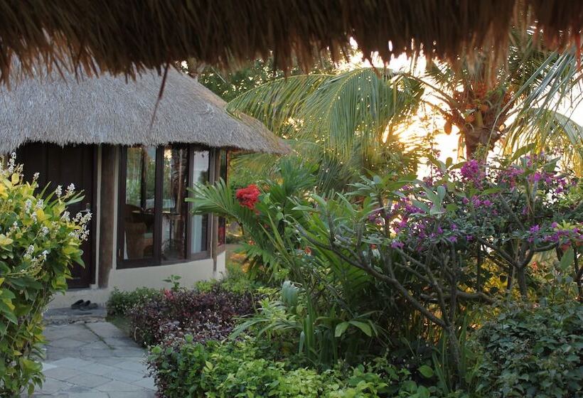 فندق Coconuts Beach Resort