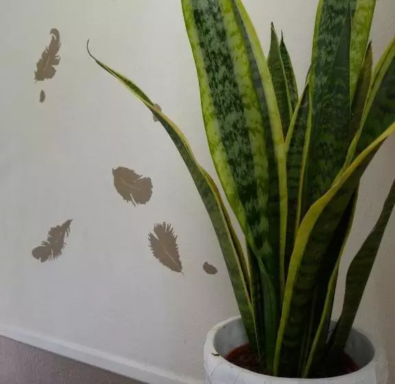 ホテル Hôtel Le Bretagne