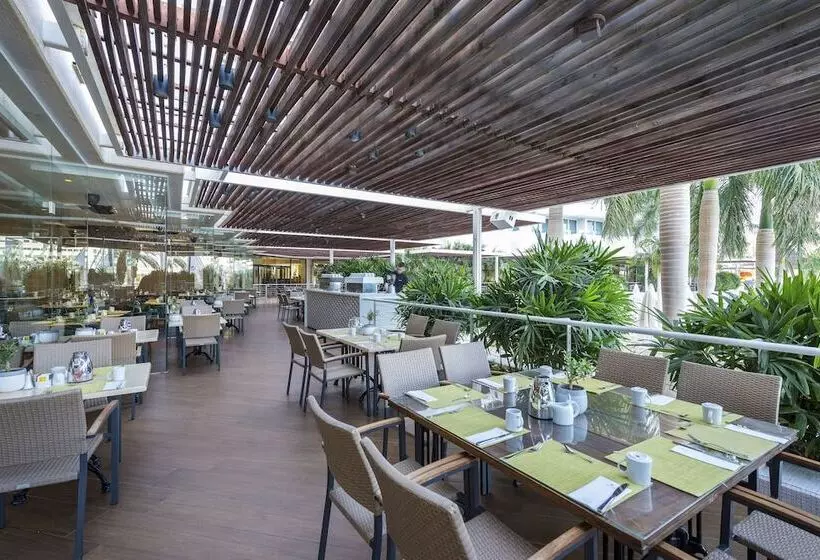 King Solomon By Isrotel Collection