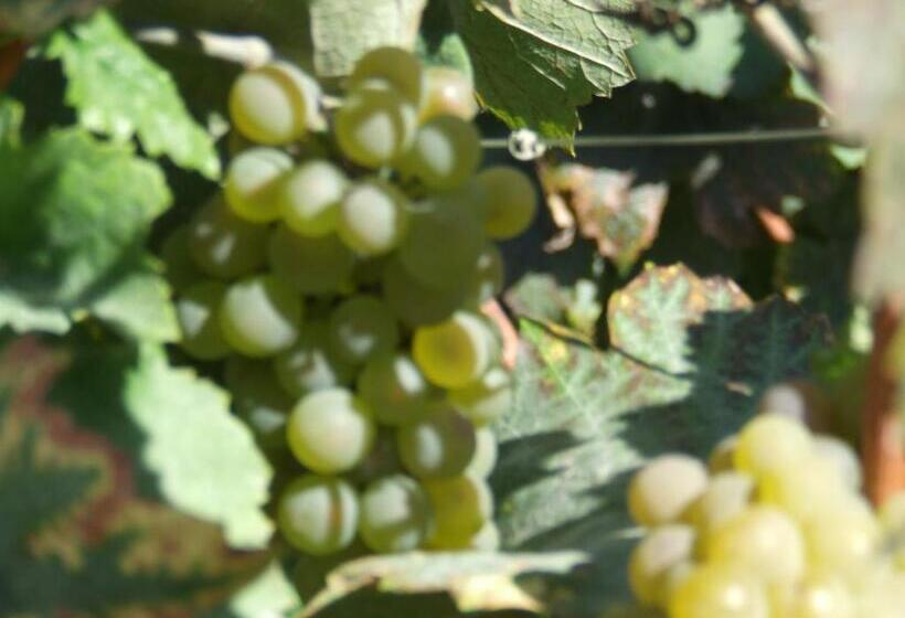 فندق Hôtel De La Poste