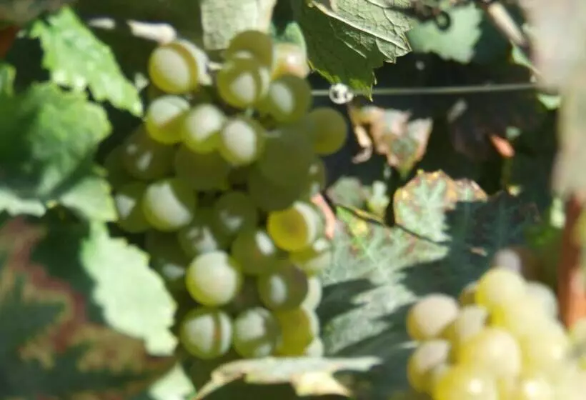 Hotelli Hôtel De La Poste