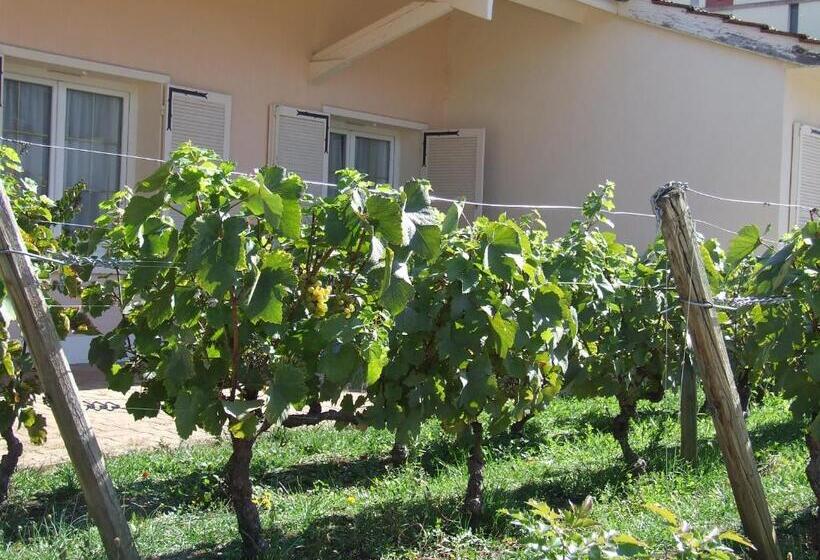 فندق Hôtel De La Poste