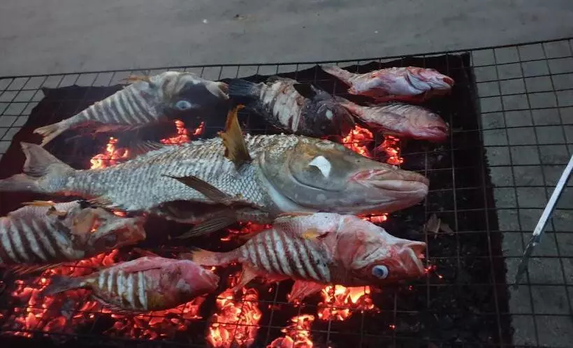 هتل Thoddoo Beach Holiday Inn