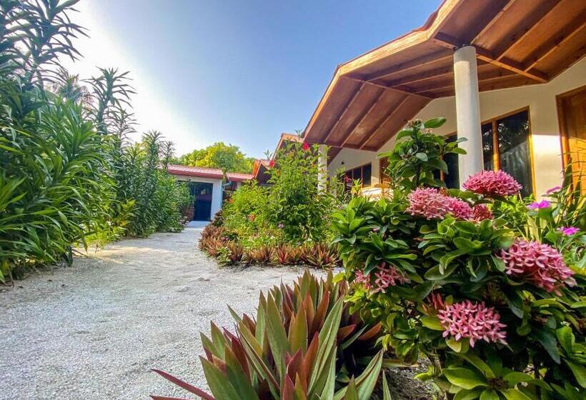 هتل Thoddoo Beach Holiday Inn