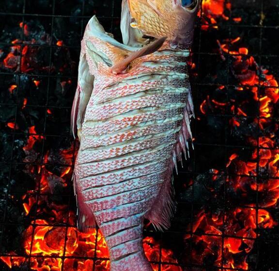 هتل Thoddoo Beach Holiday Inn