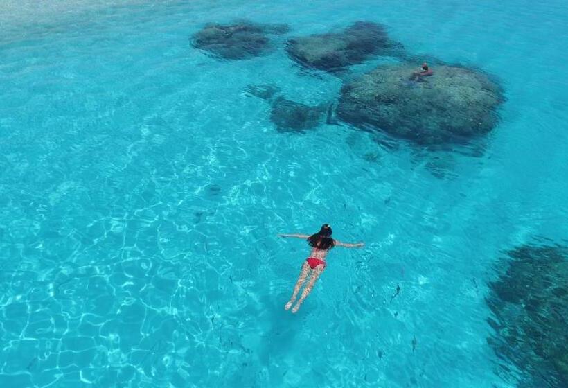 هتل Thoddoo Beach Holiday Inn