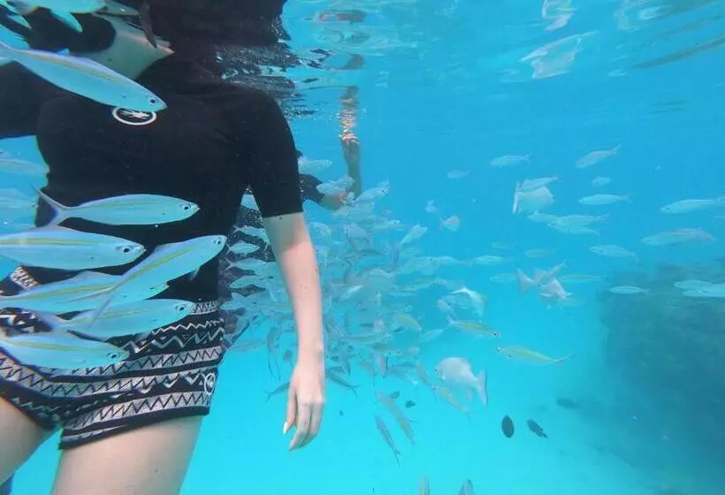 هتل Thoddoo Beach Holiday Inn