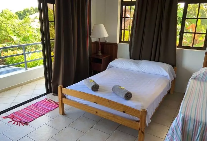 پانسیون Ahitea Lodge