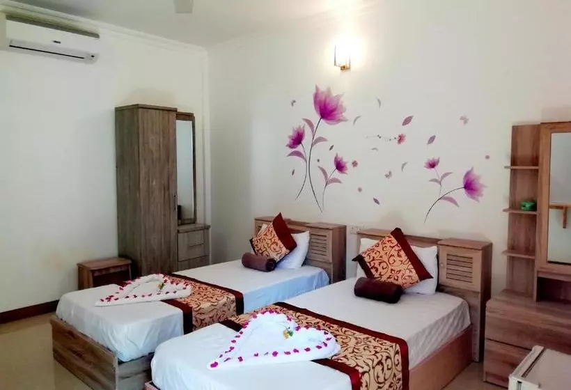 پانسیون Dhoani Inn